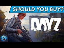 DayZ EU Steam CD Key