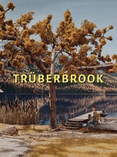 Truberbrook US Xbox One/Series CD Key