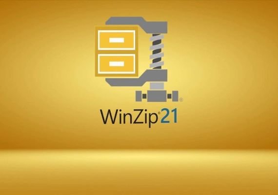 WinZip 21 PT Licença de software global CD Key
