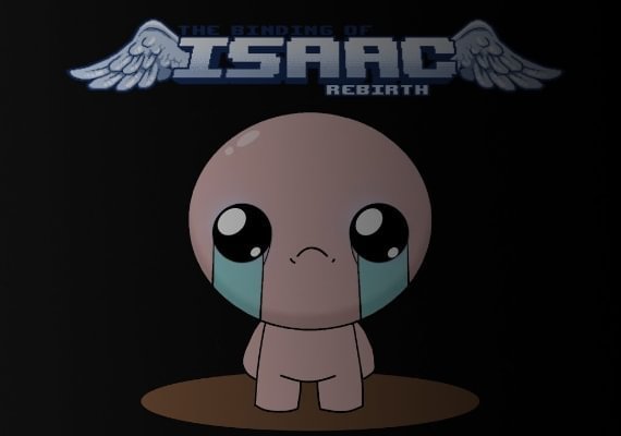 The Binding Of Isaac Steam CD Key